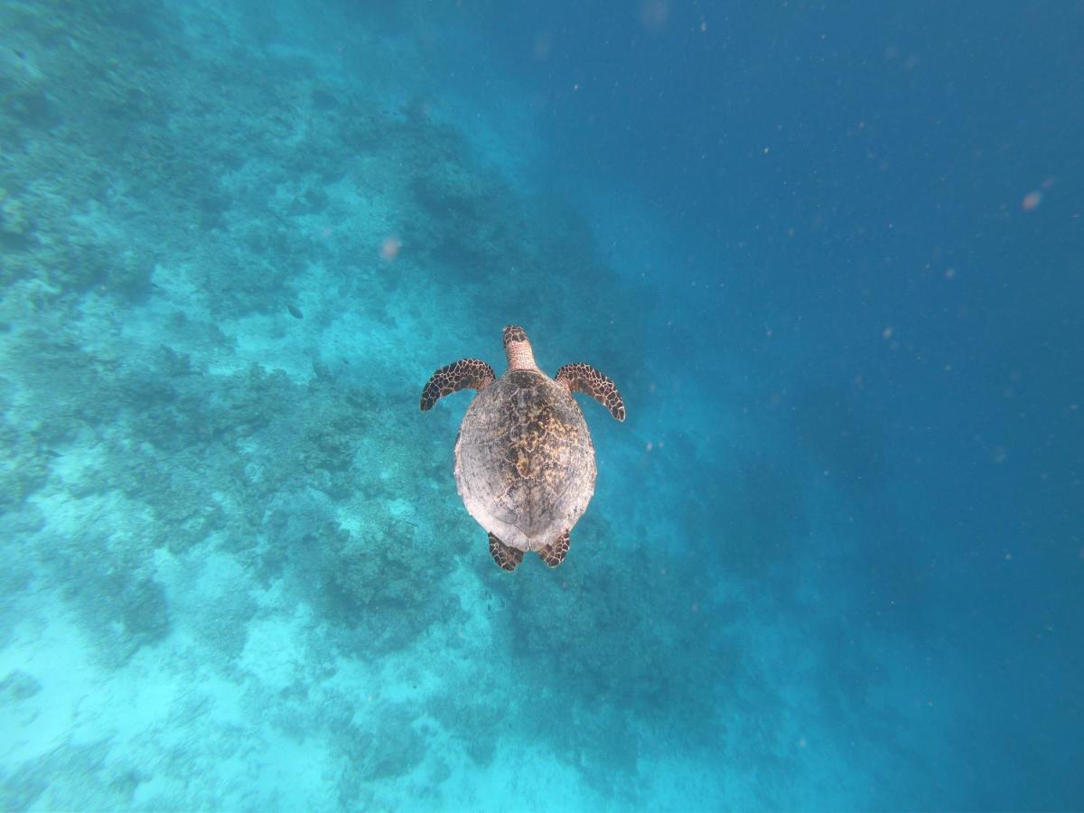 Dhiffushi White Sand Beach Экстерьер фото